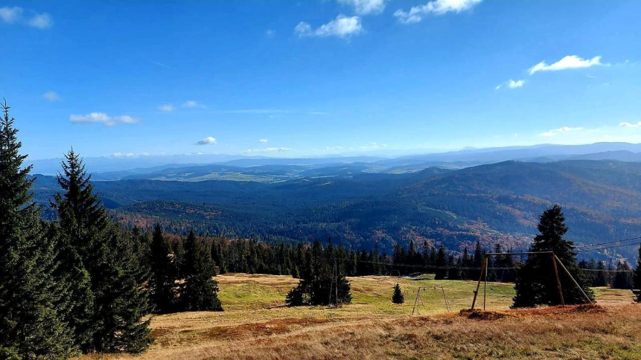 Pokoje Pod Szyndzielnia Bielsko-Biała Extérieur photo